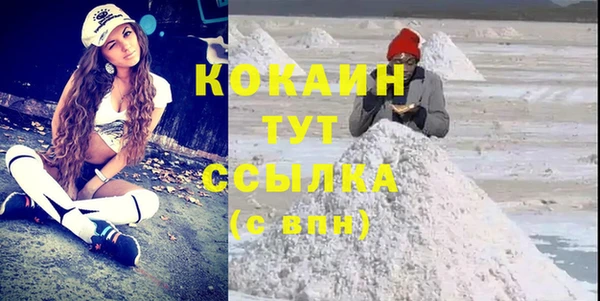 скорость Тайга