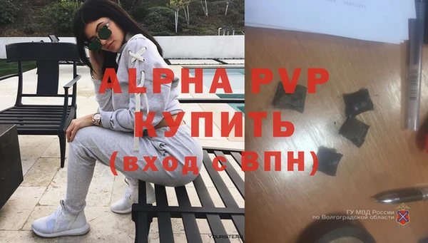 скорость Тайга